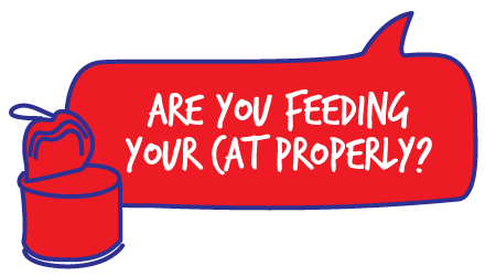 ARE YOU FEEDING YOUR CAT PROPERLY?